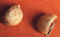 Orecchini 